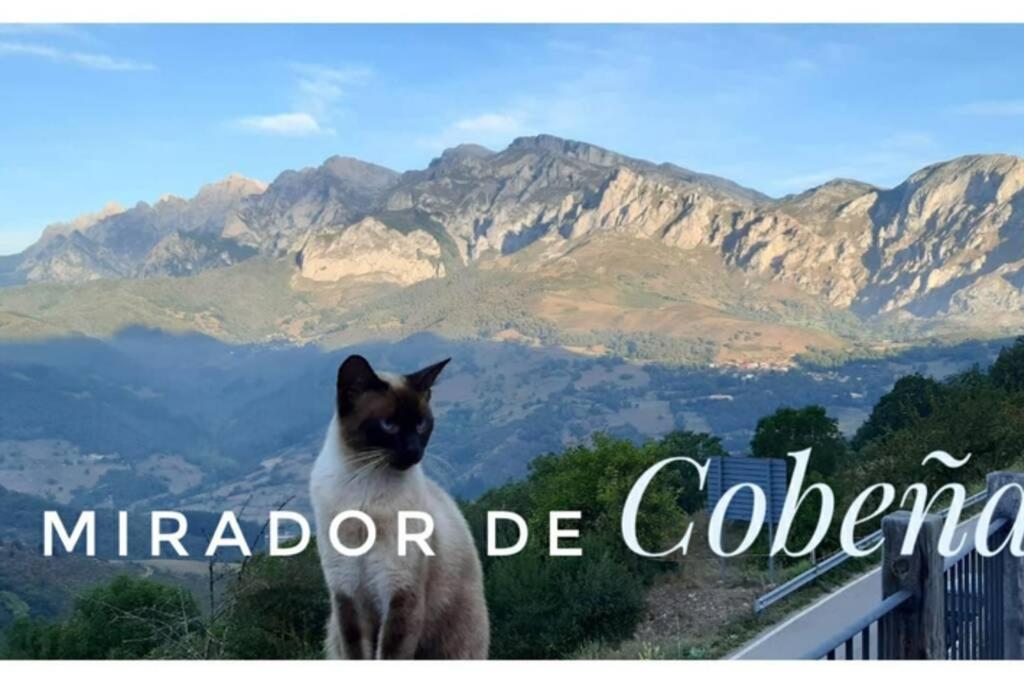 Appartement El Mirador de Cobeña II. Aires de Liébana en Picos Extérieur photo